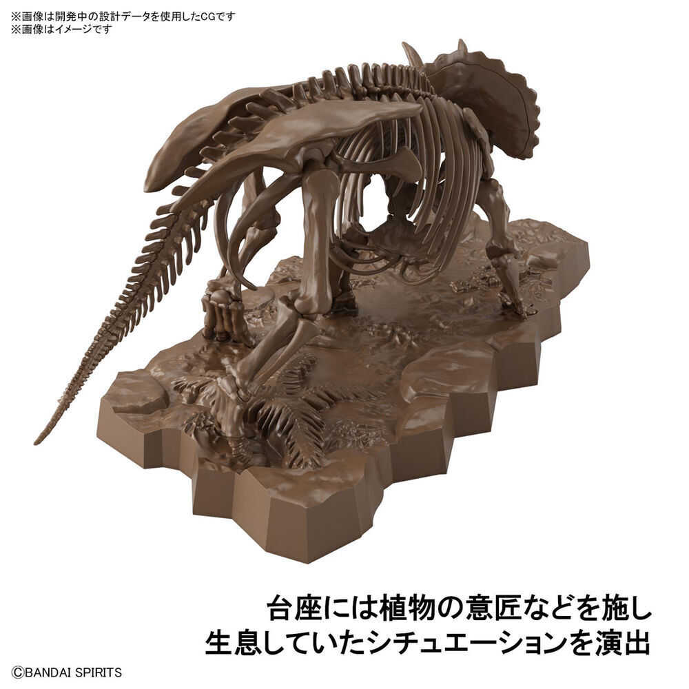 《豬帽子》現貨 代理版 萬代 組裝模型 1/32 幻想骨骼系列 三角龍 三觭龍
