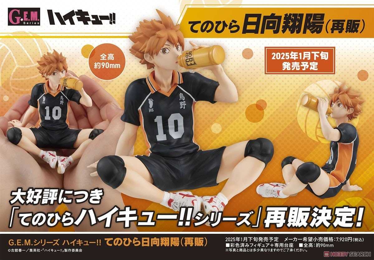 《豬帽子》現貨 MH限定 GEM 排球少年 掌中的日向 日向翔陽 再販