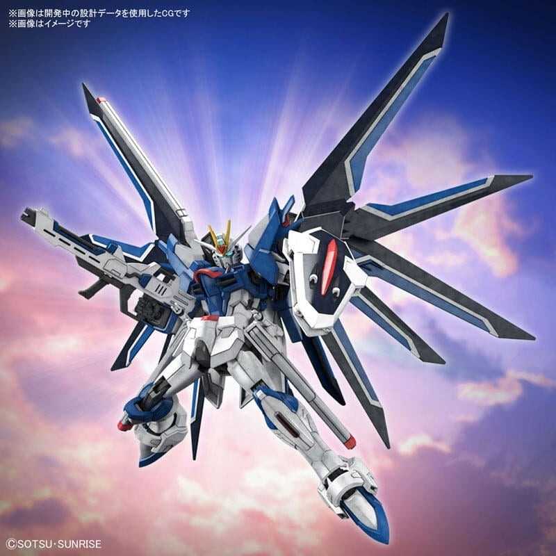 《豬帽子》現貨 代理版 萬代 組裝模型 HG 1/144 振揚自由鋼彈 鋼彈SEED