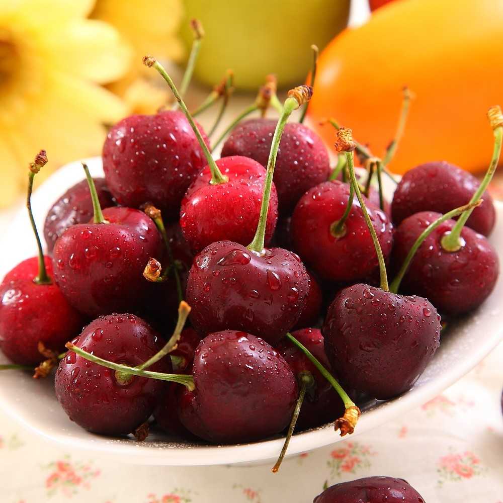 【大嘴巴】空運紐西蘭頂級櫻桃禮盒3盒附提袋〈28mm/2000g/盒〉