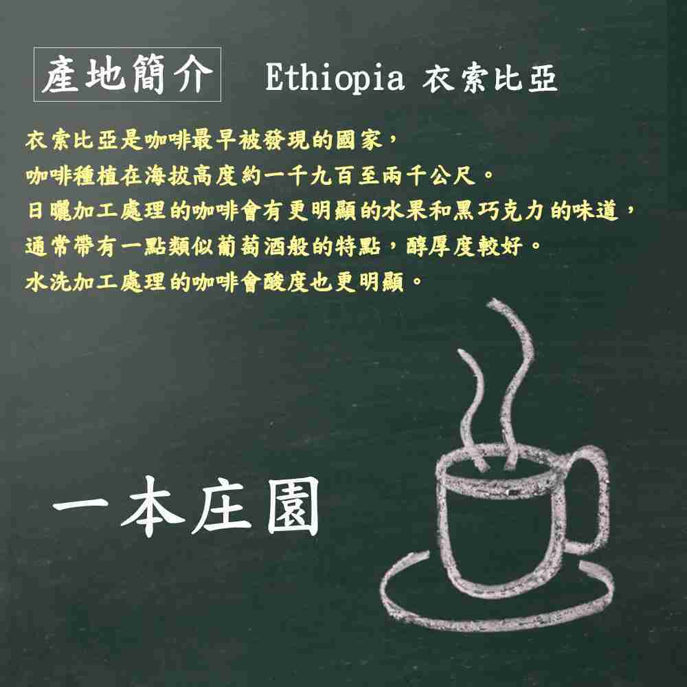 【ㄧ本庄園】非洲區莊園精品咖啡豆 耶加雪菲 果丁丁 一磅裝