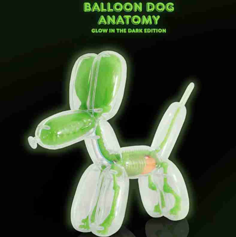 藝術家系列 Jason Freeny 8吋 透視氣球狗 Anatomy 夜光版 #90011