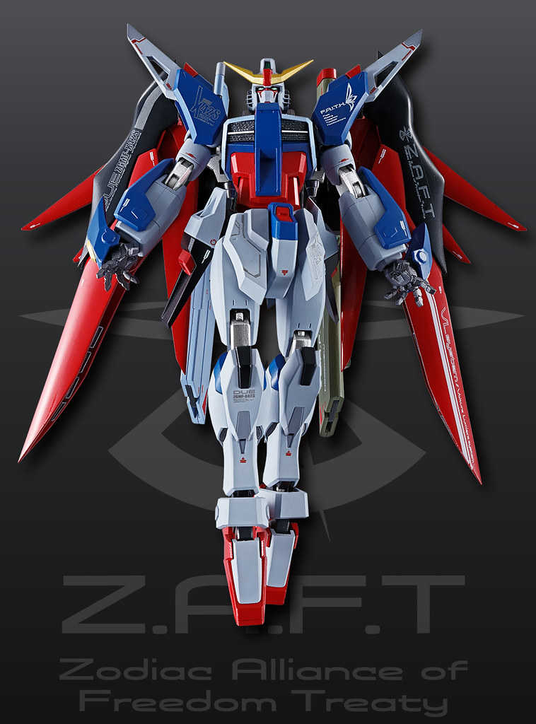 BANDAI 萬代 METAL ROBOT魂 SEED DESTINY 機動戰士鋼彈  ZGMF-X42S 命運鋼彈