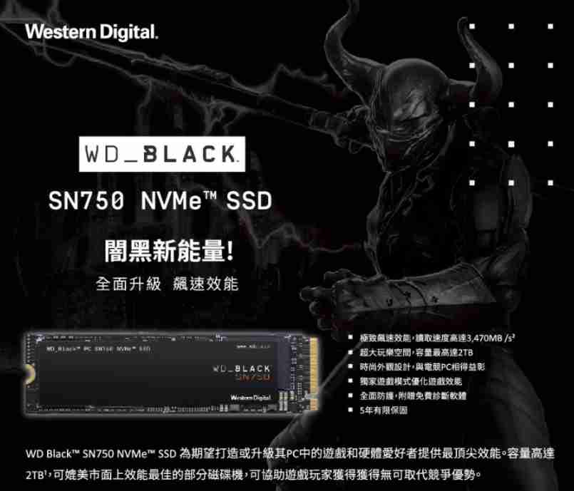【促銷】WD 黑標 SN750 1TB NVMe PCIe SSD固態硬碟 儲存裝置 內接硬碟