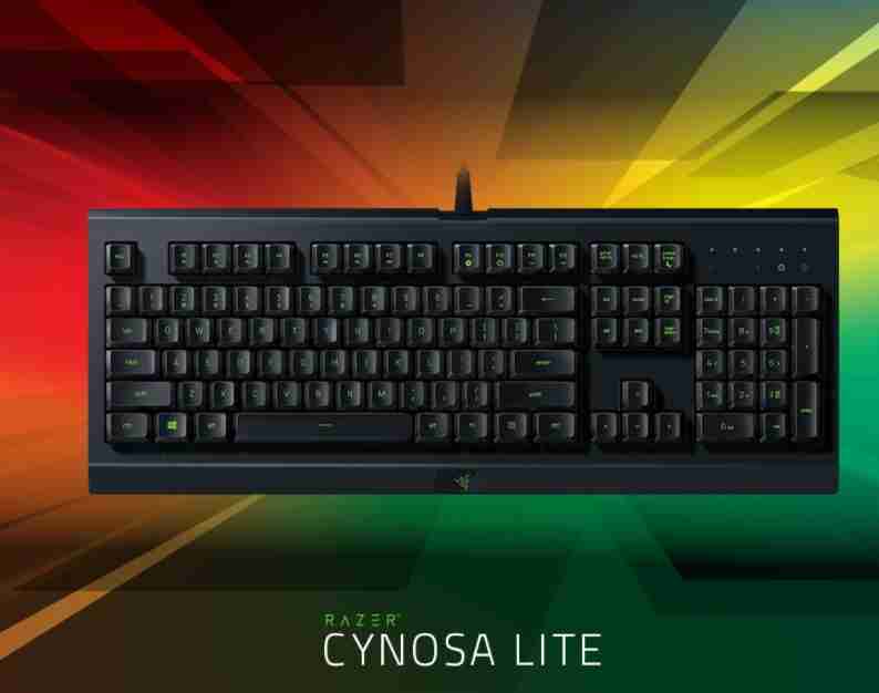【現貨】雷蛇Razer Cynosa Chroma Lite 薩諾狼蛛輕裝版 類機械式RGB鍵盤 有線鍵盤