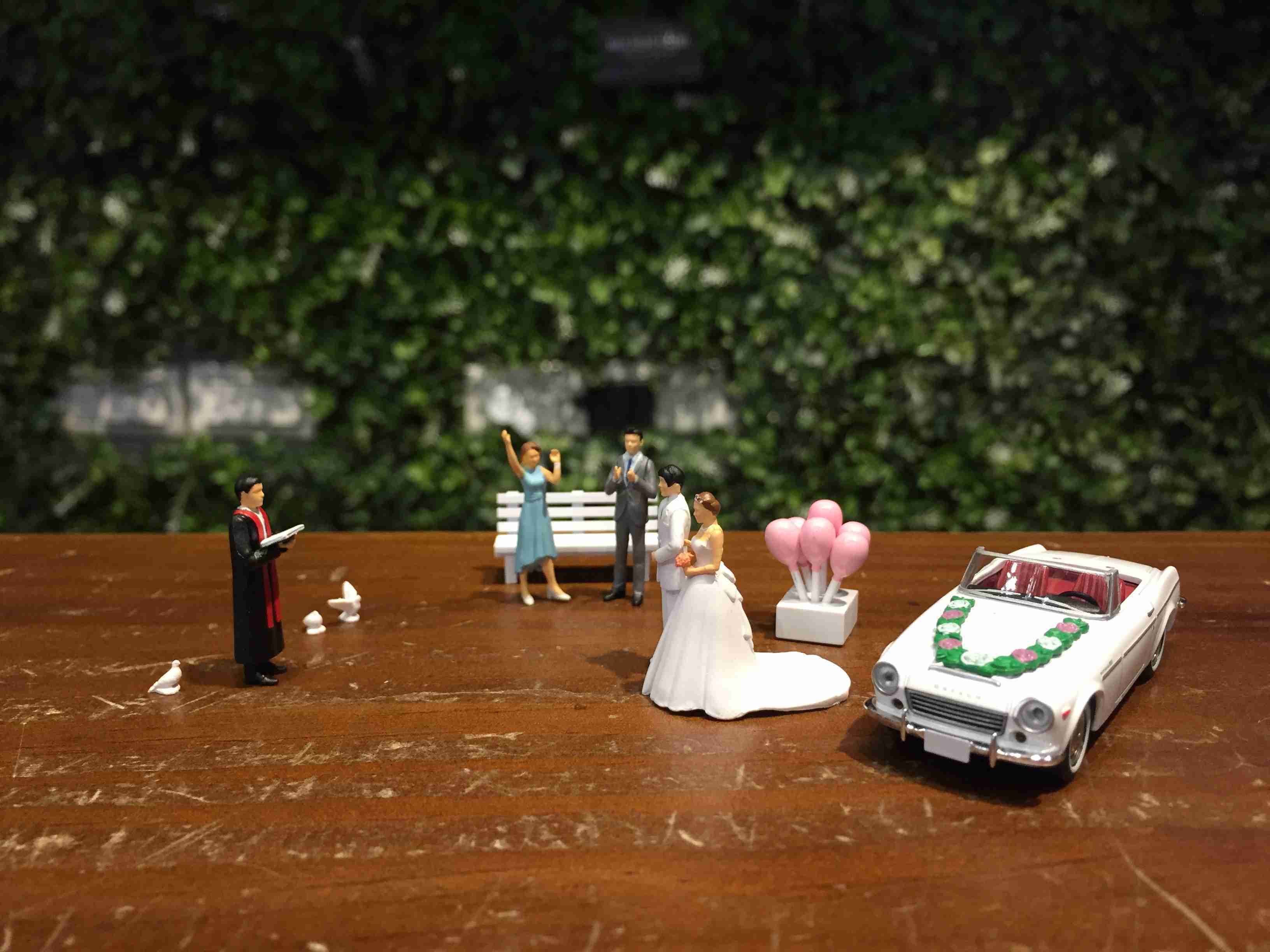 1/64 Tomica DioColle 64 Carsnap 13a Wedding【MGM】