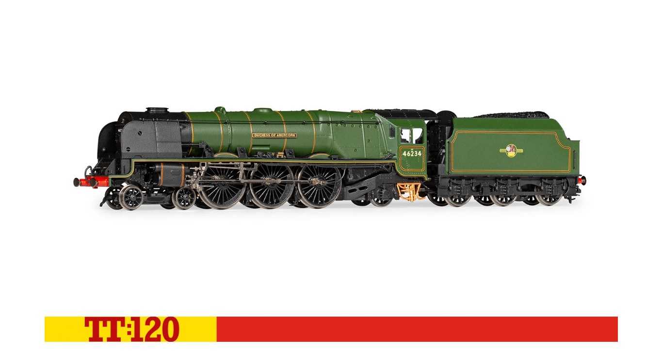 Mini 預購中 Hornby TT3012M TT規 Duchess of Abercorn 蒸汽車