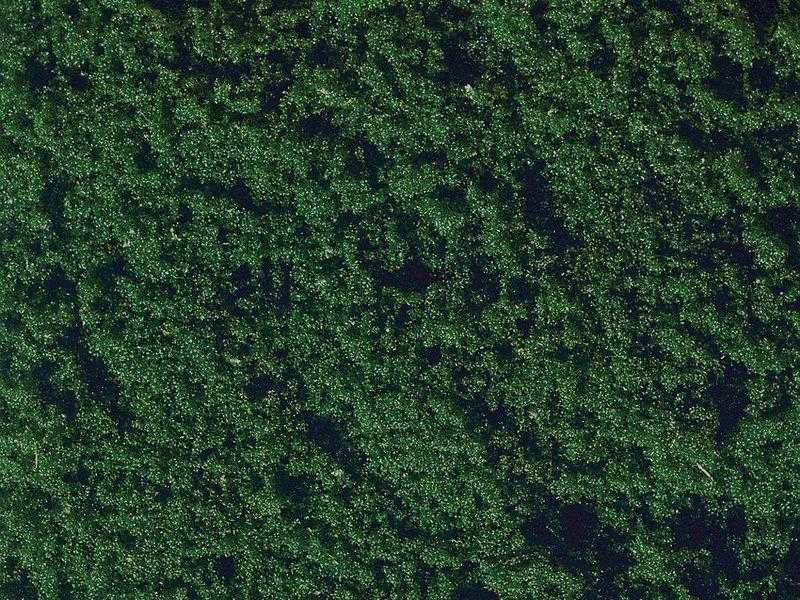 Mini 現貨 Noch 07206 Flock, Dark Green 深綠色草粉