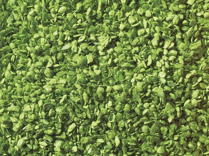 Mini 預購中 Noch 07152 淺綠色樹葉.100g.罐裝