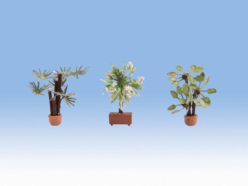 Mini 現貨 Noch 14023 HO規 Mediterranean Plants 地中海植物.3棵