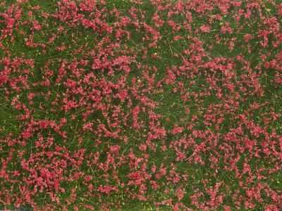 Mini 現貨 Noch 07257 Groundcover Foliage Meadow red 草皮 草甸紅綠