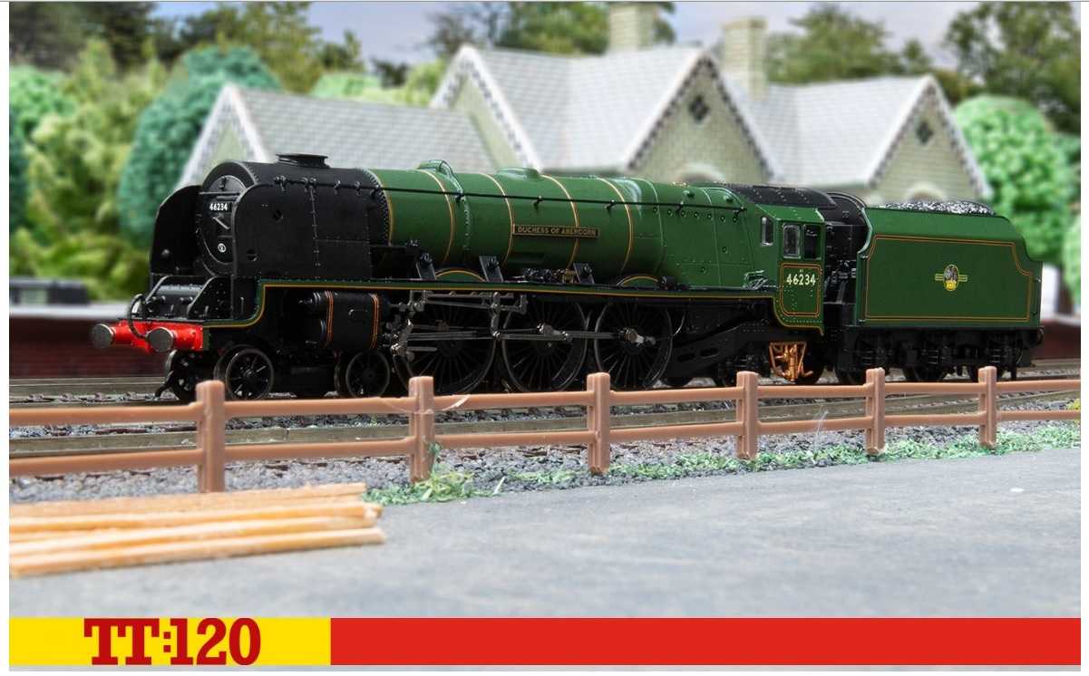 Mini 預購中 Hornby TT3012M TT規 Duchess of Abercorn 蒸汽車
