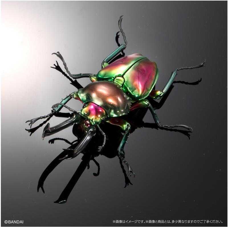 【台中金曜】店鋪現貨 PB限定 生物大圖鑑進擊 寶石金龜與彩虹鍬形蟲 轉蛋 扭蛋 全5種