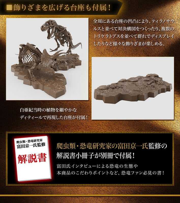 【台中金曜】店鋪現貨 不挑盒況 BANDAI 1/32 幻想骨骼系列 三角龍 三觭龍 恐龍 組裝模型