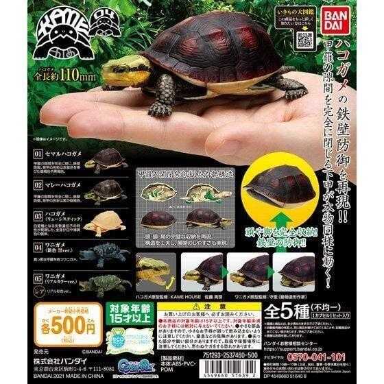 【臺中金曜】店鋪現貨 BANDAI 烏龜環保扭蛋P4 食蛇龜篇 扭蛋 轉蛋 大全5種