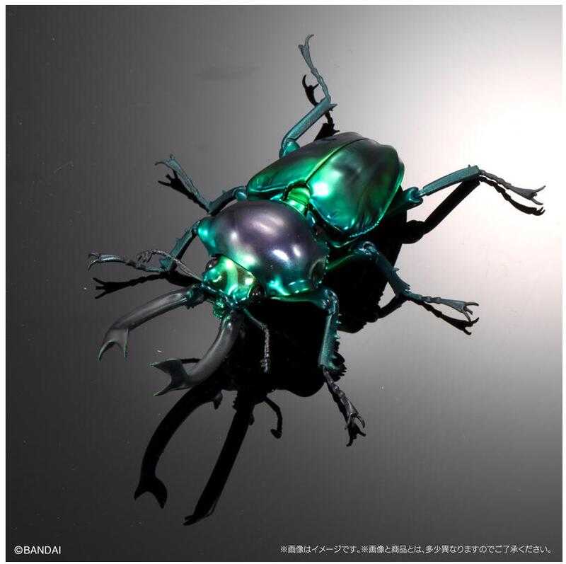 【台中金曜】店鋪現貨 PB限定 生物大圖鑑進擊 寶石金龜與彩虹鍬形蟲 轉蛋 扭蛋 全5種