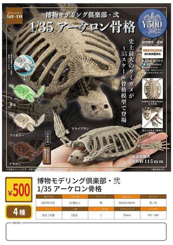 【台中金曜】店鋪現貨 SO-TA 轉蛋 扭蛋 博物模型俱樂部 貳-烏龜骨篇 人體 骨骼 模型 生物 全4款