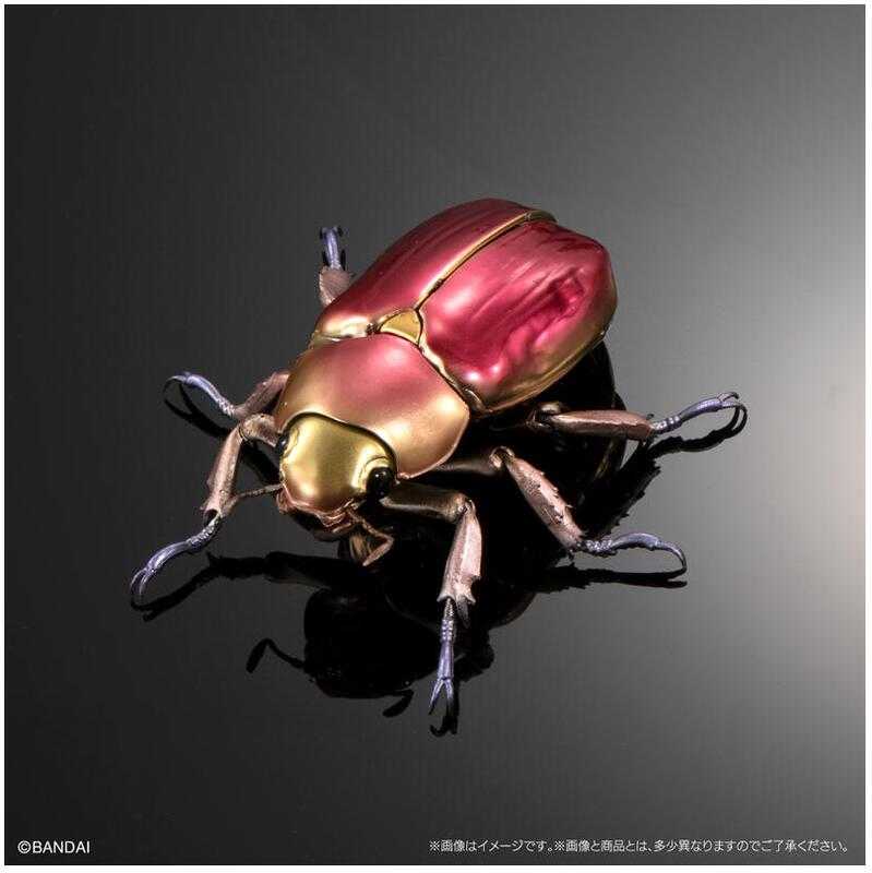 【台中金曜】店鋪現貨 PB限定 生物大圖鑑進擊 寶石金龜與彩虹鍬形蟲 轉蛋 扭蛋 全5種