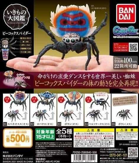 【台中金曜】店鋪現貨 BANDAI 環保扭蛋 生物大圖鑑 孔雀蜘蛛