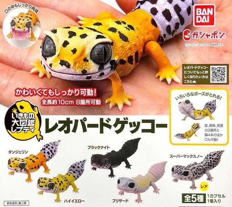 【臺中金曜】店鋪現貨 BANDAI 生物大圖鑑 豹紋壁虎篇 扭蛋 轉蛋 壁虎 守宮 擬真動物