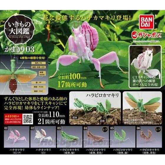 【台中金曜】店鋪現貨 BANDAI 代理 生物大圖鑑 螳螂環保扭蛋03扭蛋 轉蛋