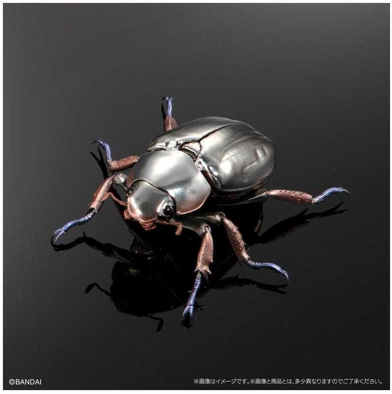 【台中金曜】店鋪現貨 PB限定 生物大圖鑑進擊 寶石金龜與彩虹鍬形蟲 轉蛋 扭蛋 全5種