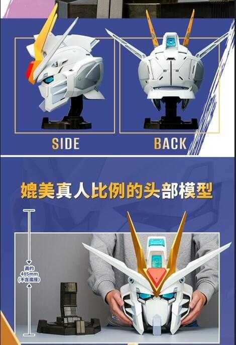 【台中金曜】25年8月 BN HEAD COLLECTION 振揚自由鋼彈【已截止】