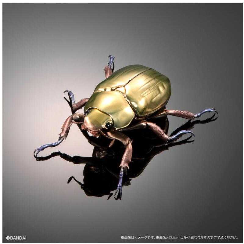 【台中金曜】店鋪現貨 PB限定 生物大圖鑑進擊 寶石金龜與彩虹鍬形蟲 轉蛋 扭蛋 全5種