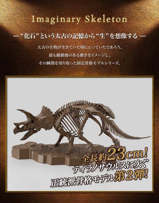 【台中金曜】店鋪現貨 不挑盒況 BANDAI 1/32 幻想骨骼系列 三角龍 三觭龍 恐龍 組裝模型