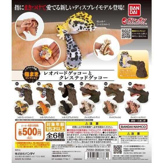 【台中金曜】店鋪現貨 BANDAI 轉蛋 扭蛋 指尖生物-豹紋壁虎篇 全6款