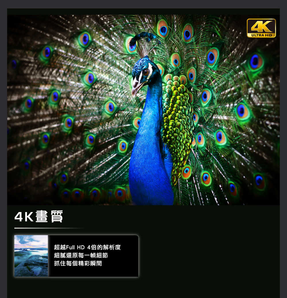 【HERAN 禾聯】65 吋 4K數位液晶顯示器 螢幕 杜比音效 無邊框設計 HD-65MG1