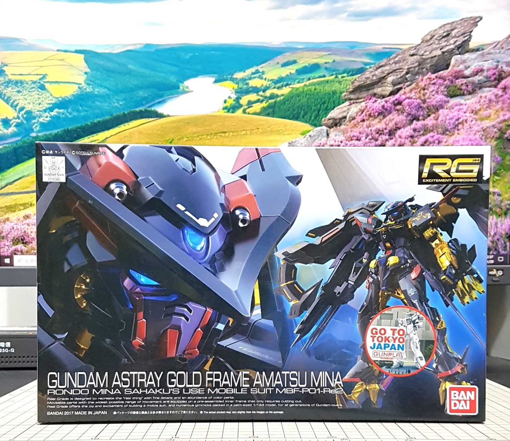 現貨 BANDAI 1/144 RG 異端鋼彈 金色機 天蜜娜 機動戰士鋼彈SEED ASTRAY 不挑盒況 萬代
