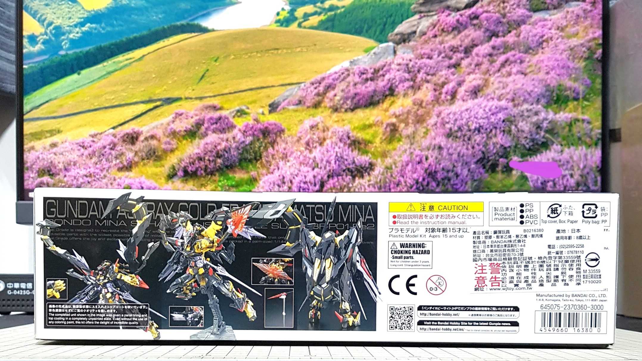 現貨 BANDAI 1/144 RG 異端鋼彈 金色機 天蜜娜 機動戰士鋼彈SEED ASTRAY 不挑盒況 萬代