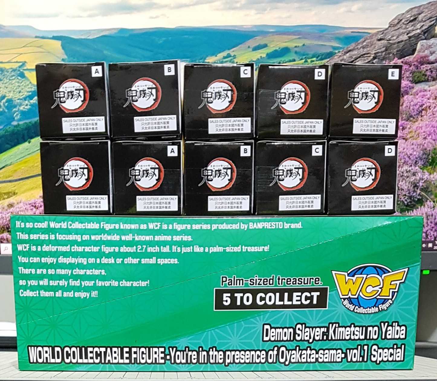 [長夜餘火]現貨24小時出貨 WCF 在主公大人面前 Vol.1、Vol.2 炭治郎 水柱 風柱 岩柱 戀柱 音柱 鬼滅