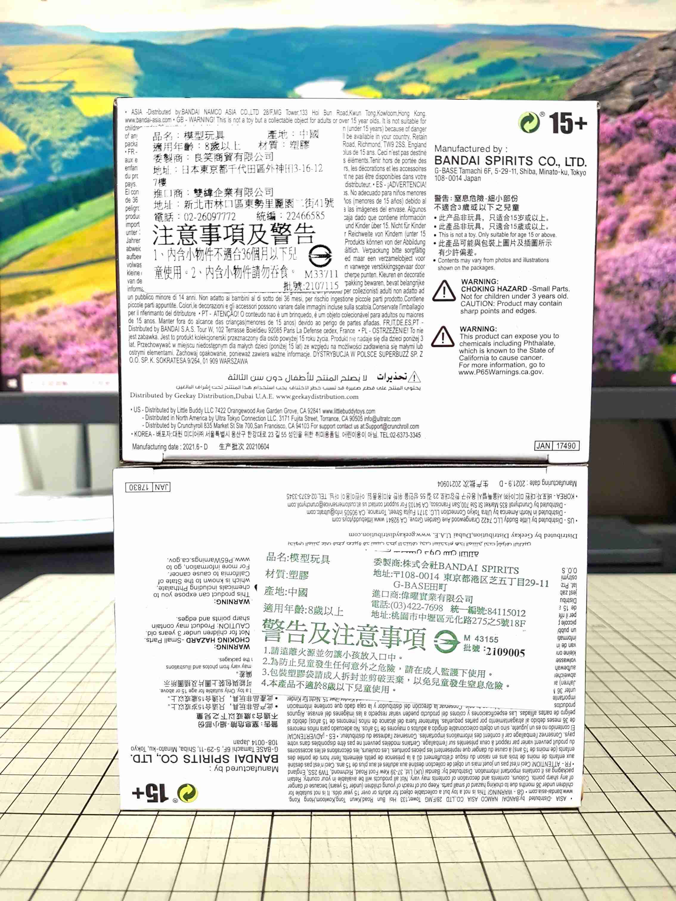 [長夜餘火]現貨24小時出貨 BANPRESTO 五條悟+伏黑惠 咒祓之術 呪祓之術 咒術迴戰 代理版 全新