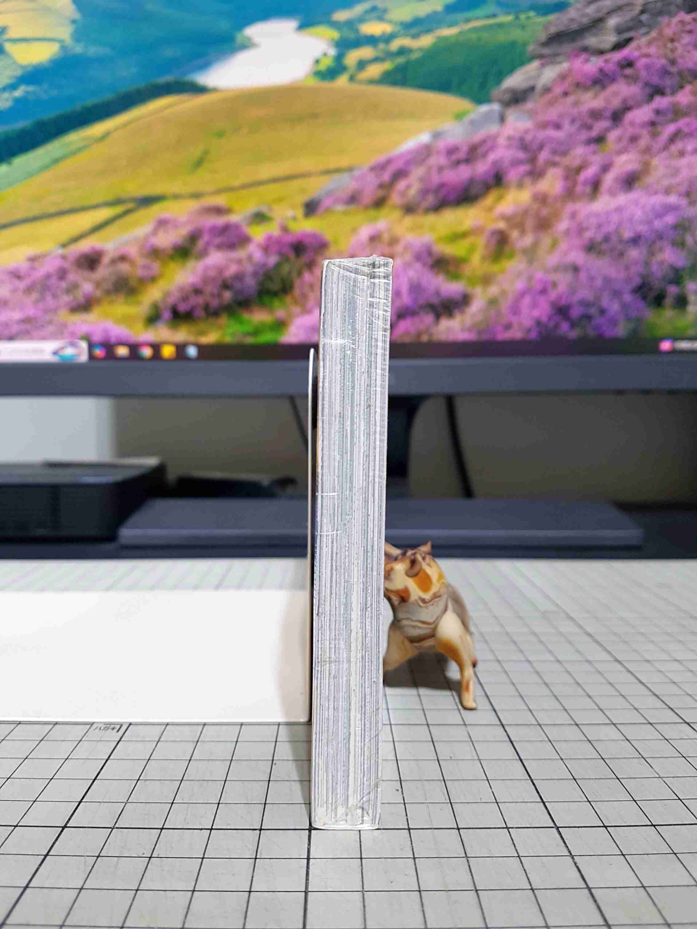 [長夜餘火]現貨24小時出貨 魔法使的新娘 3 ヤマザキコレ 東立 全新