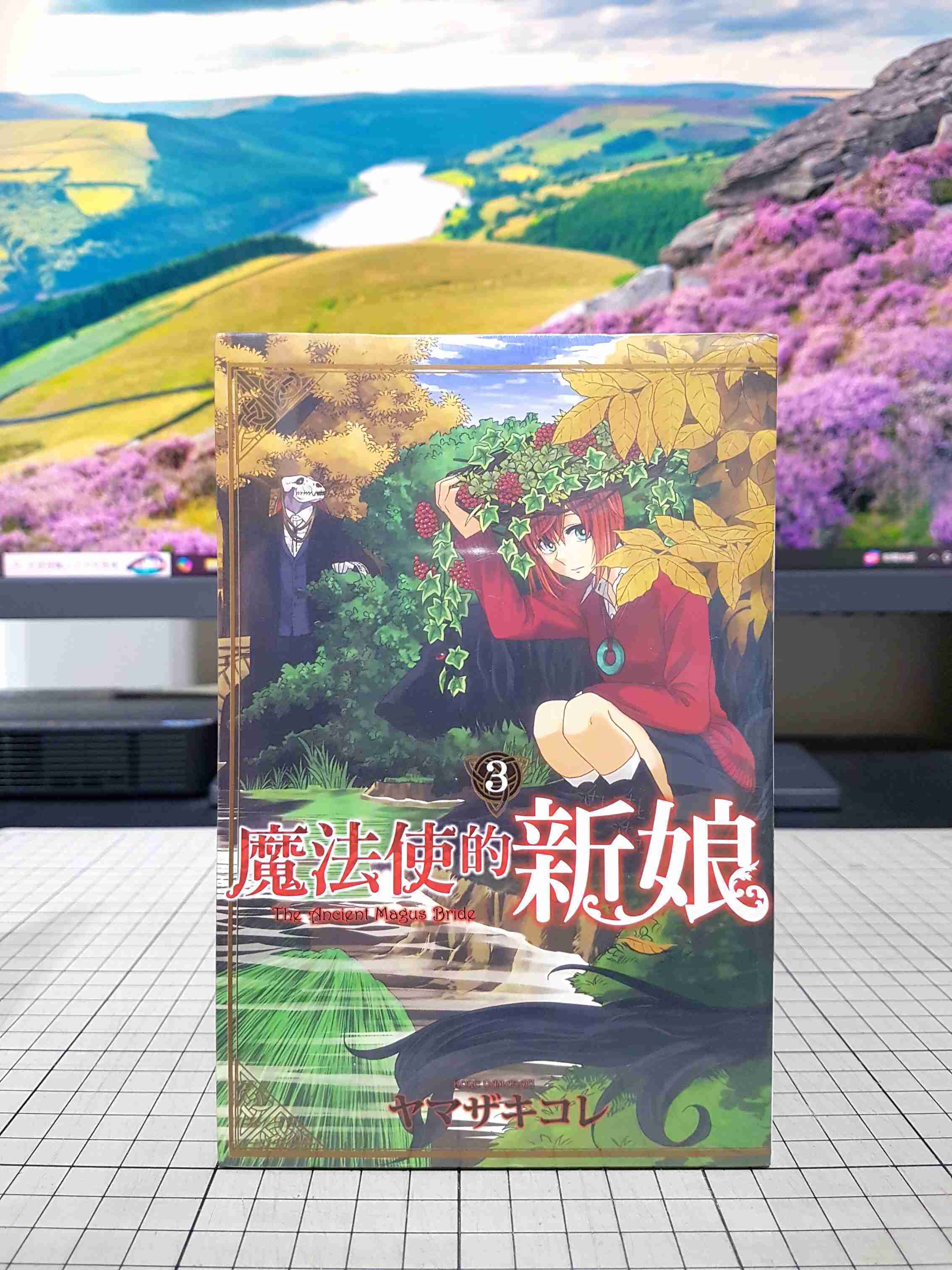 [長夜餘火]現貨24小時出貨 魔法使的新娘 3 ヤマザキコレ 東立 全新