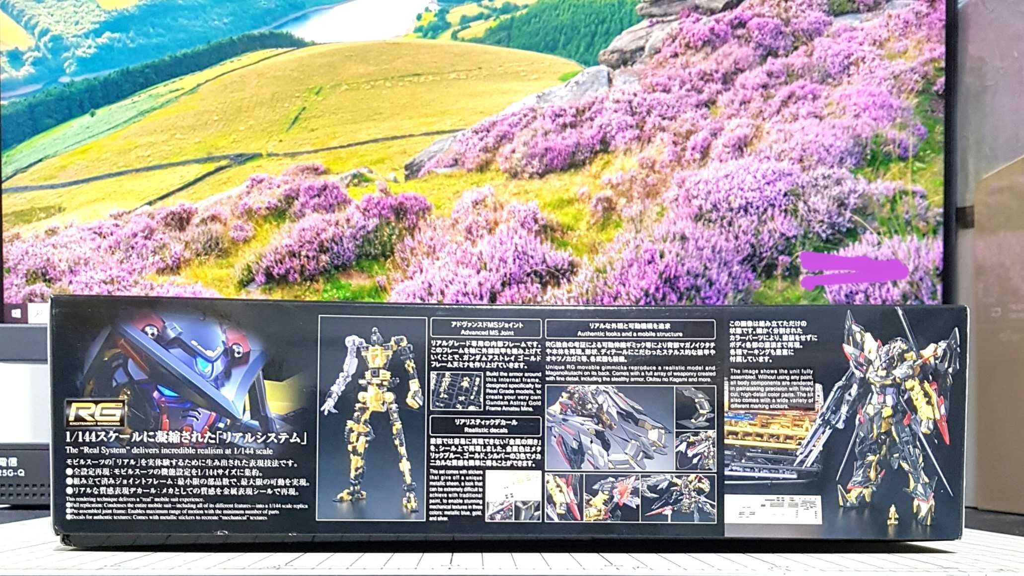 現貨 BANDAI 1/144 RG 異端鋼彈 金色機 天蜜娜 機動戰士鋼彈SEED ASTRAY 不挑盒況 萬代