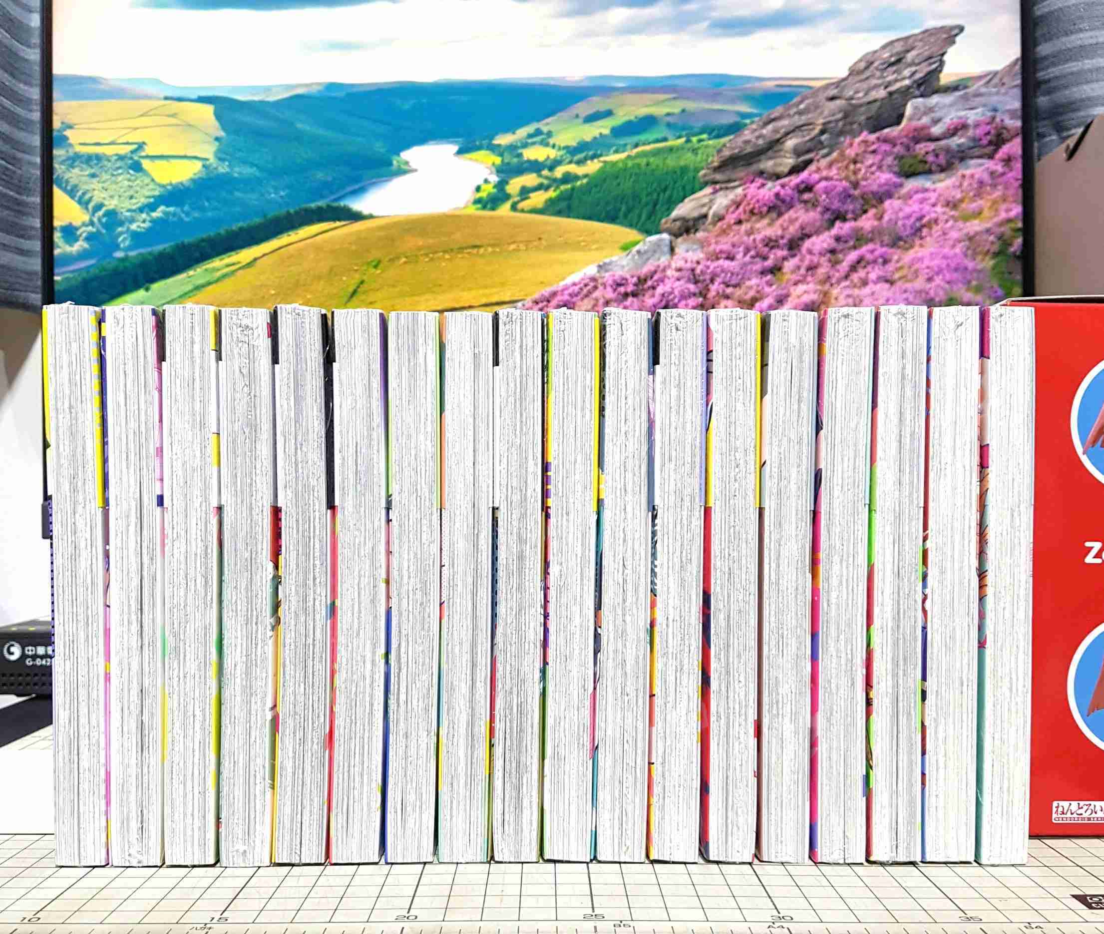 現貨 魔女守護者 1、2、3、4、5、6、7、8、9、10、11、12、13、14、15~21 首刷附錄版 首刷限定版