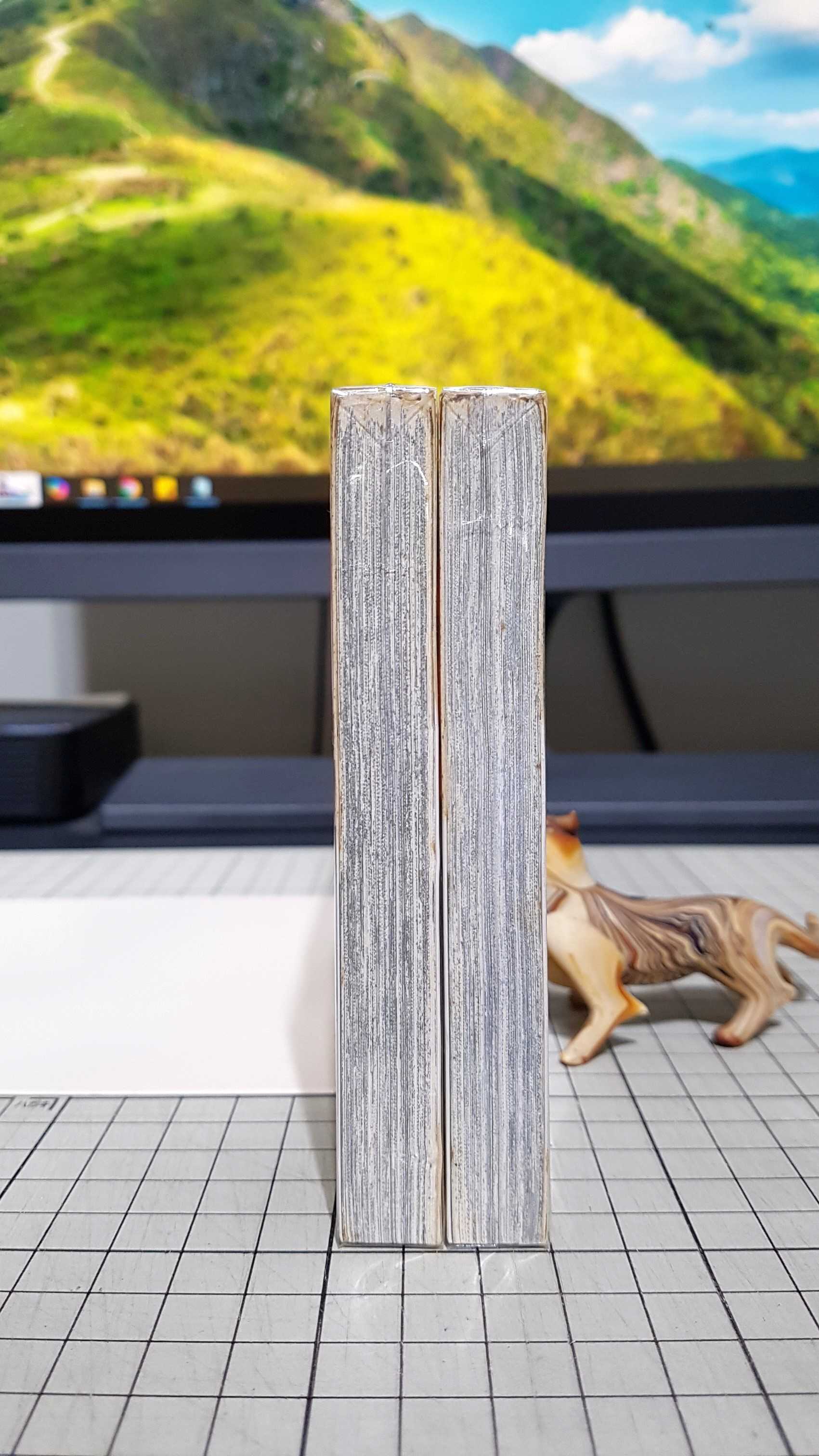 [長夜餘火]現貨24小時出貨 全首刷 搶錢女神 1、2 林欣穎 東立 自有書 無章釘