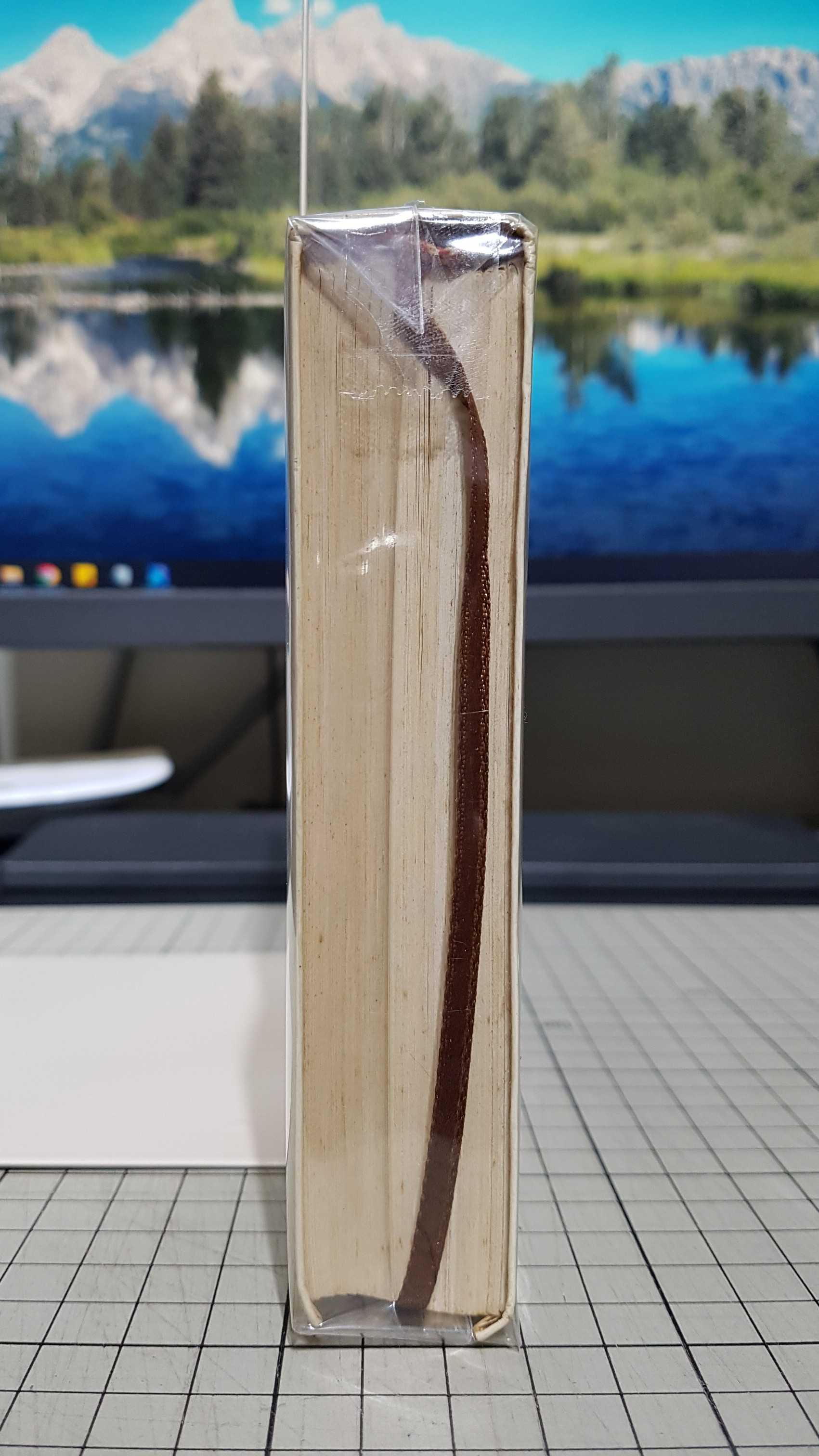 [長夜餘火]現貨24小時出貨 自有書 無章釘 24個比利 典藏本 丹尼爾 凱斯 著 初版4刷 小知堂文化