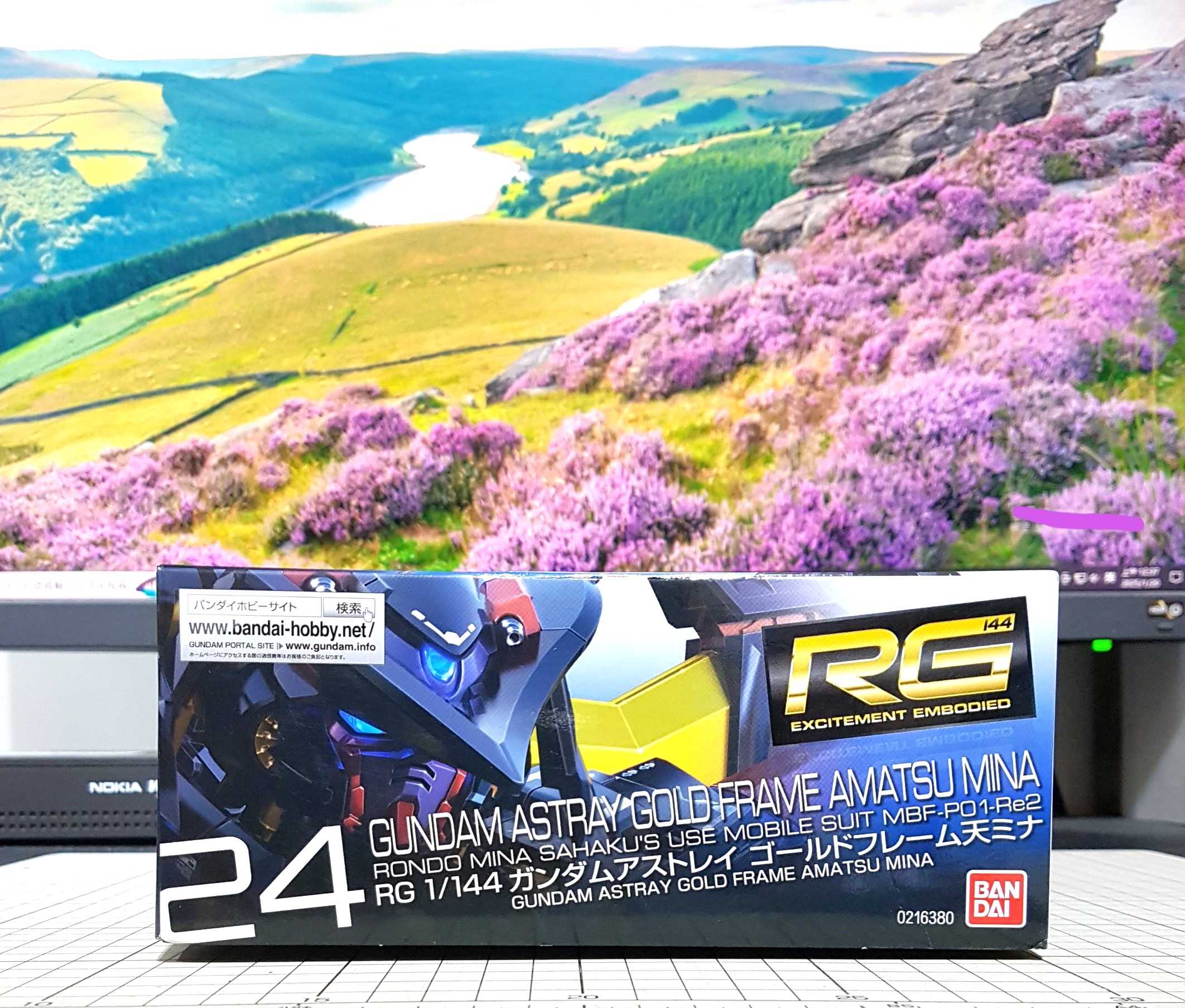 現貨 BANDAI 1/144 RG 異端鋼彈 金色機 天蜜娜 機動戰士鋼彈SEED ASTRAY 不挑盒況 萬代