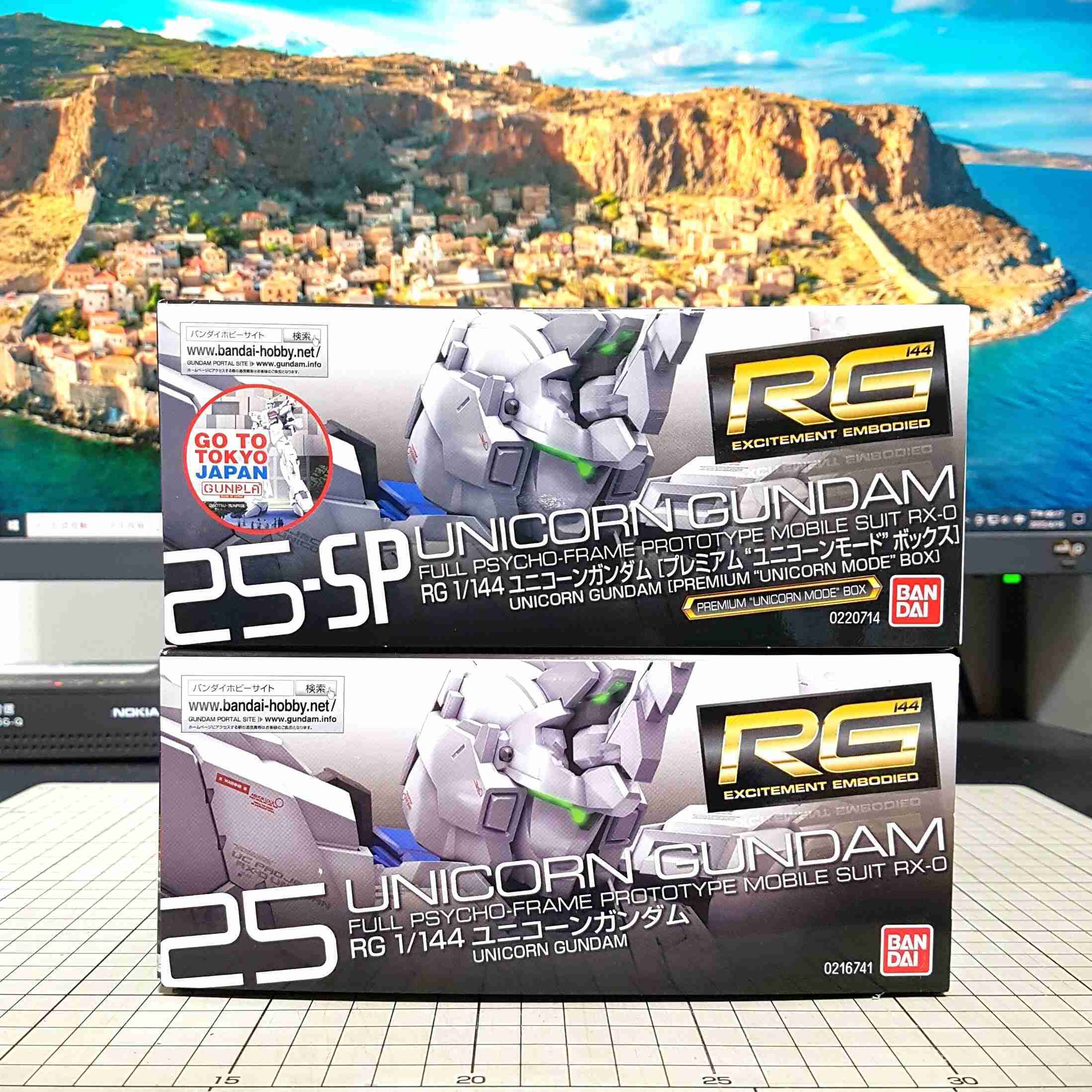 [長夜餘火]現貨24小時出貨 BANDAI 1/144 RG 獨角獸鋼彈 初回限定盒繪 機動戰士鋼彈UC 不挑盒況 萬代