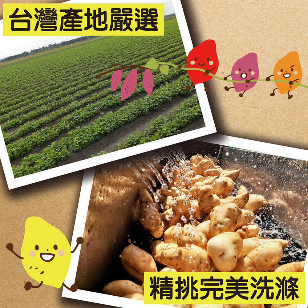 【田食原】四色切片冰烤地瓜 200g/包 冰心地瓜 露營必備 減醣健身餐 團購美食 好吃方便 低熱量低GI