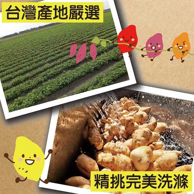 【田食原】新鮮黃金小冰烤地瓜  300g 冰心地瓜 養生 健康 健身 美食 好吃 方便 低熱量 減醣必備