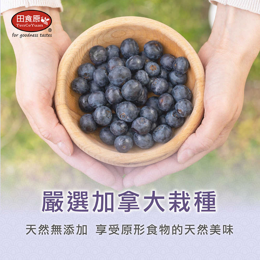 藍莓-02