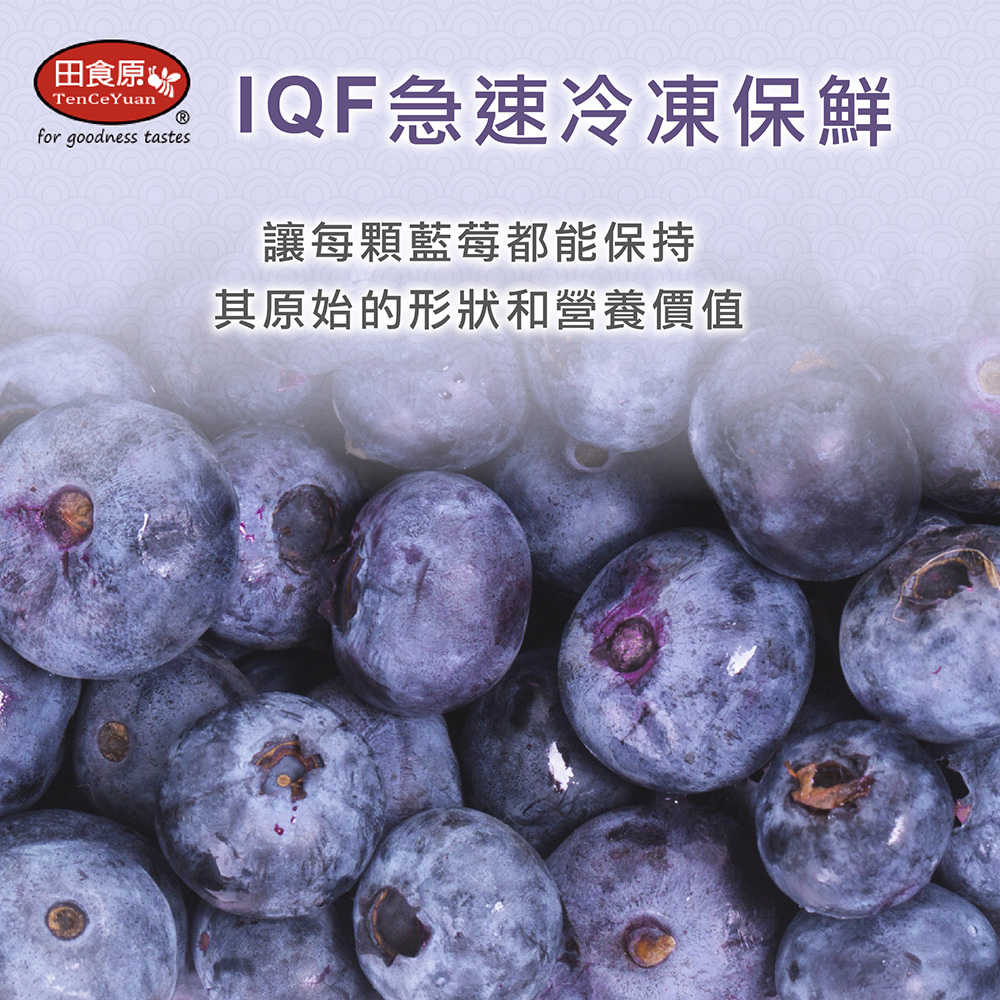 藍莓-04