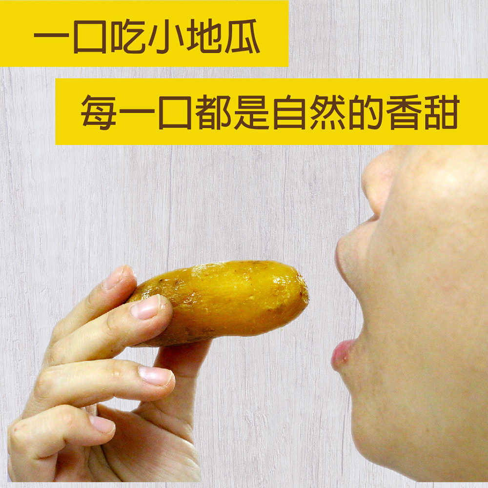 231226黃金小冰烤地瓜_銷售文-04