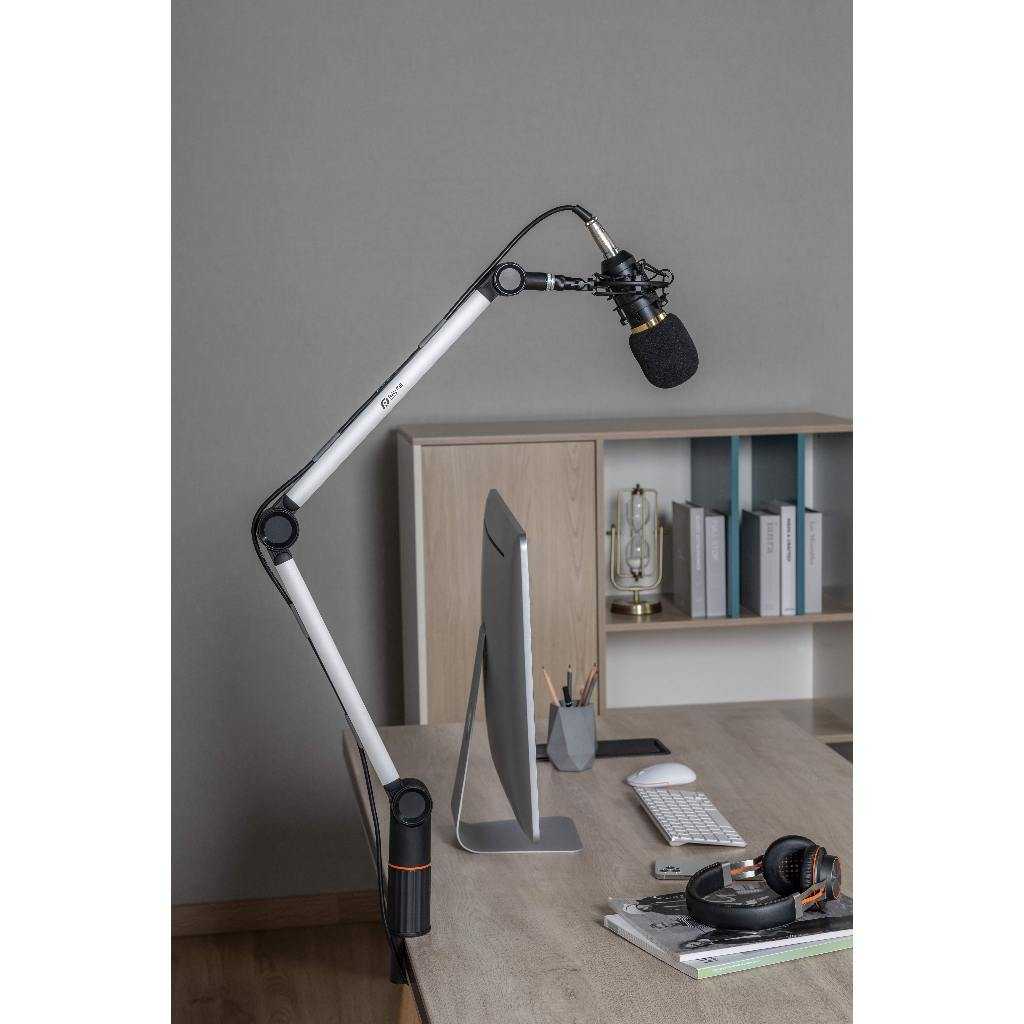 【GAME休閒館】瑞米 Raymii《 LTA-01 鋁合金麥克風支架 》夾桌穿桌式 直播支架【現貨】