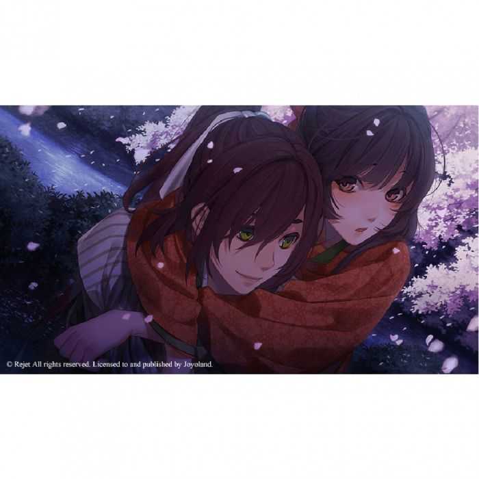 【GAME休閒館】NS Switch《劍為君舞 for S》中文限定版【現貨】EM1874